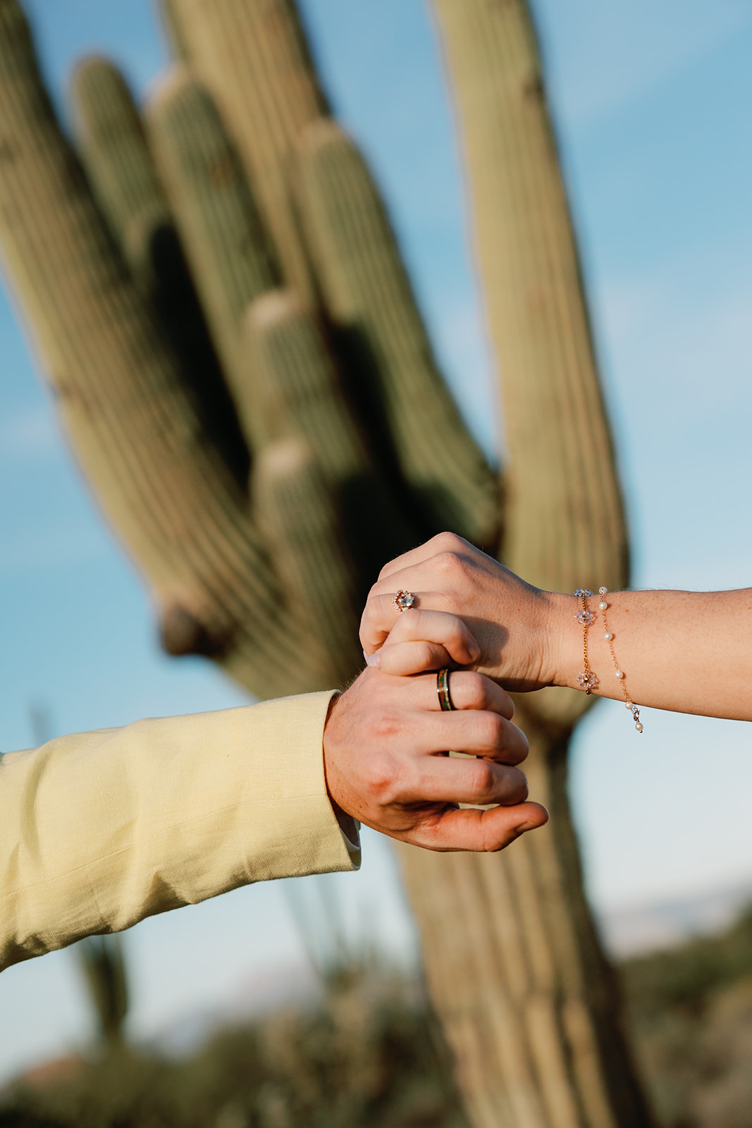 Close-up of a couple holding hands with wedding rings in front of a cactus in the Arizona desert