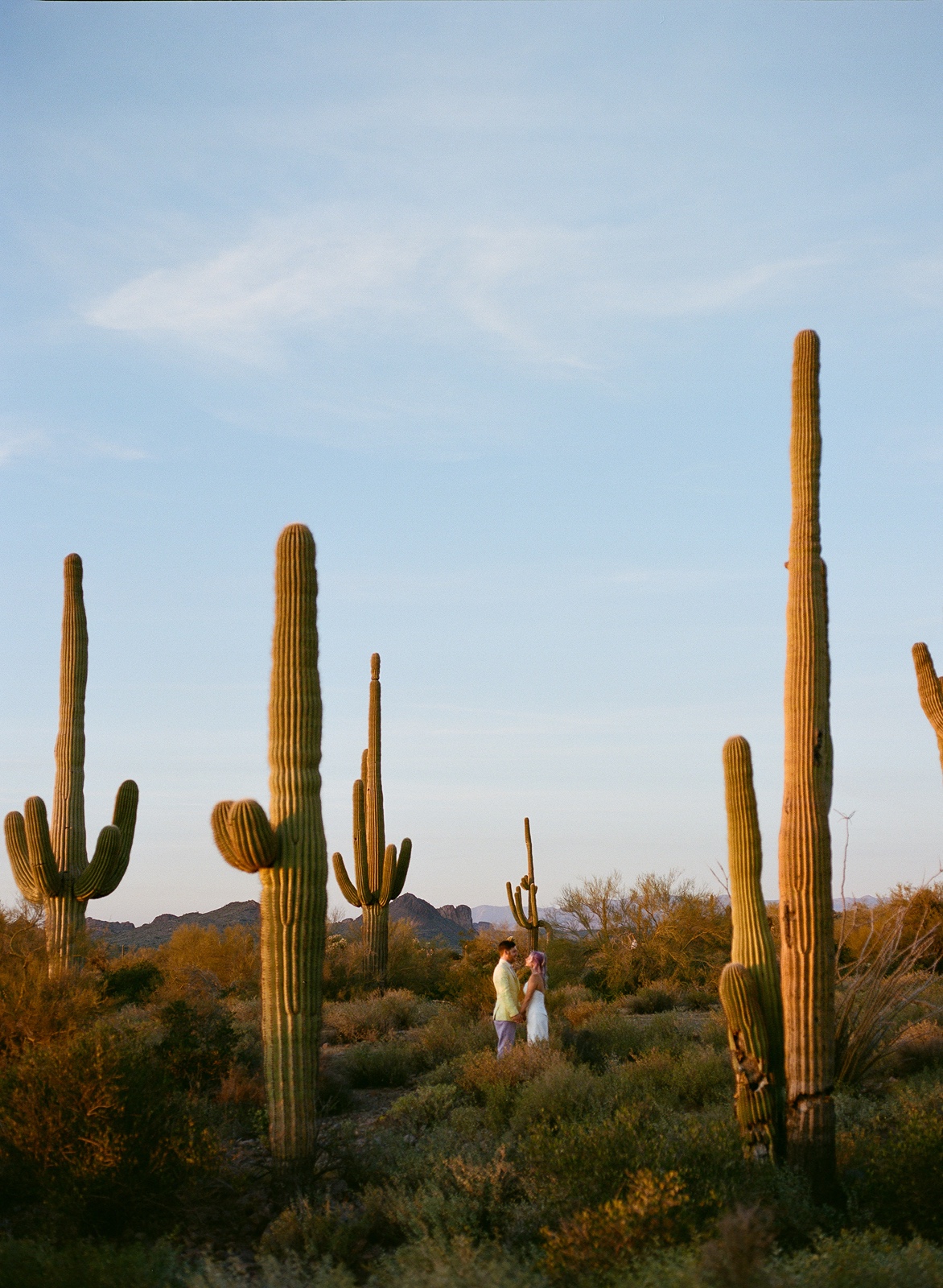 Bride and groom between cacti in Lost Dutchman State Park