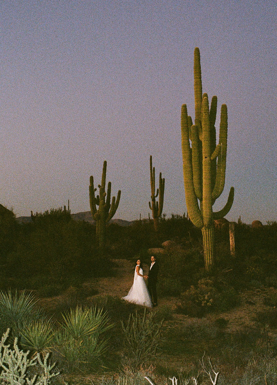Bride and groom in the desert at their non-traditional wedding