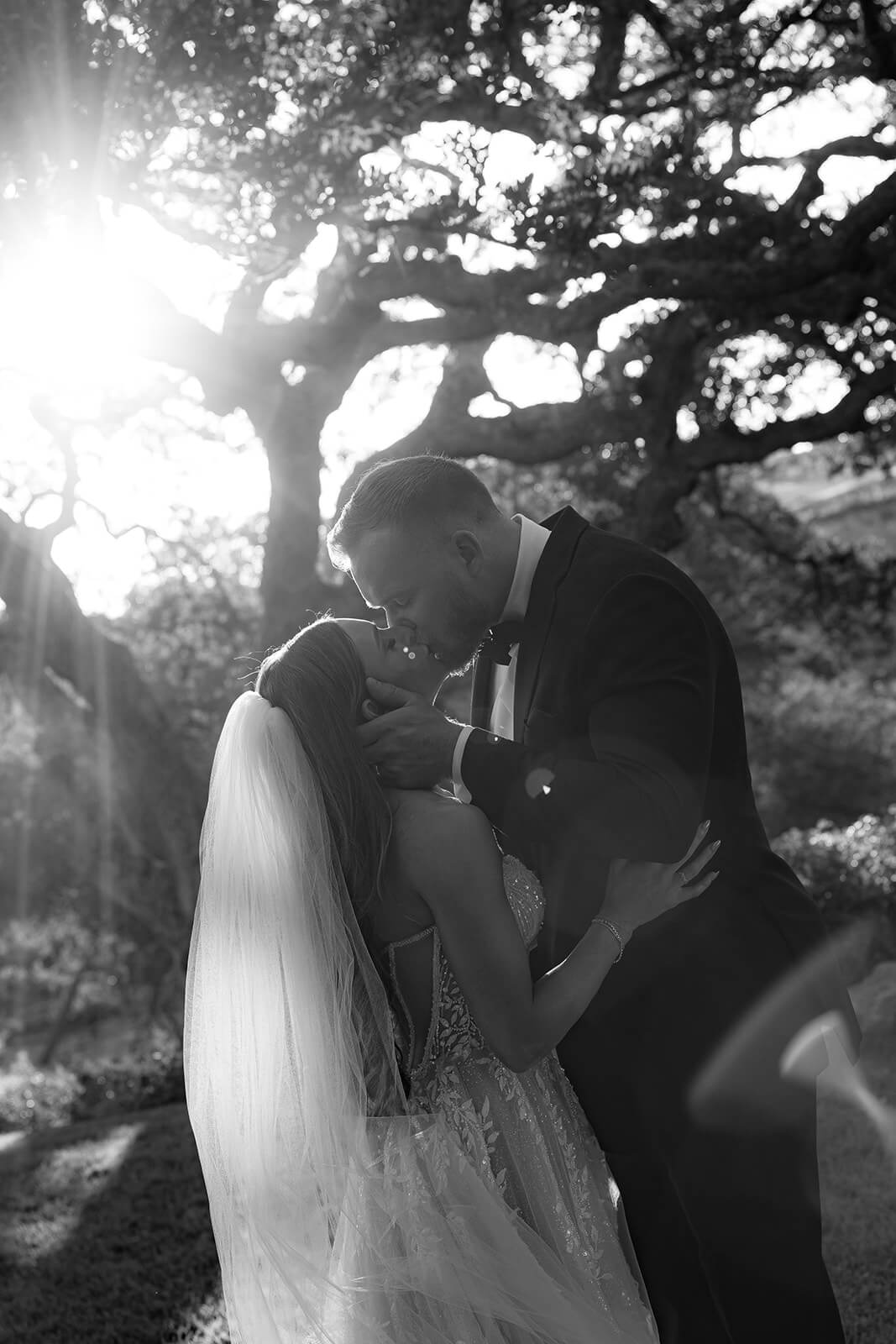 Black and white wedding portrait of a bride and groom kissing beneath a sunlit tree at a San Luis Obispo wedding venue, with soft light filtering through the branches.
