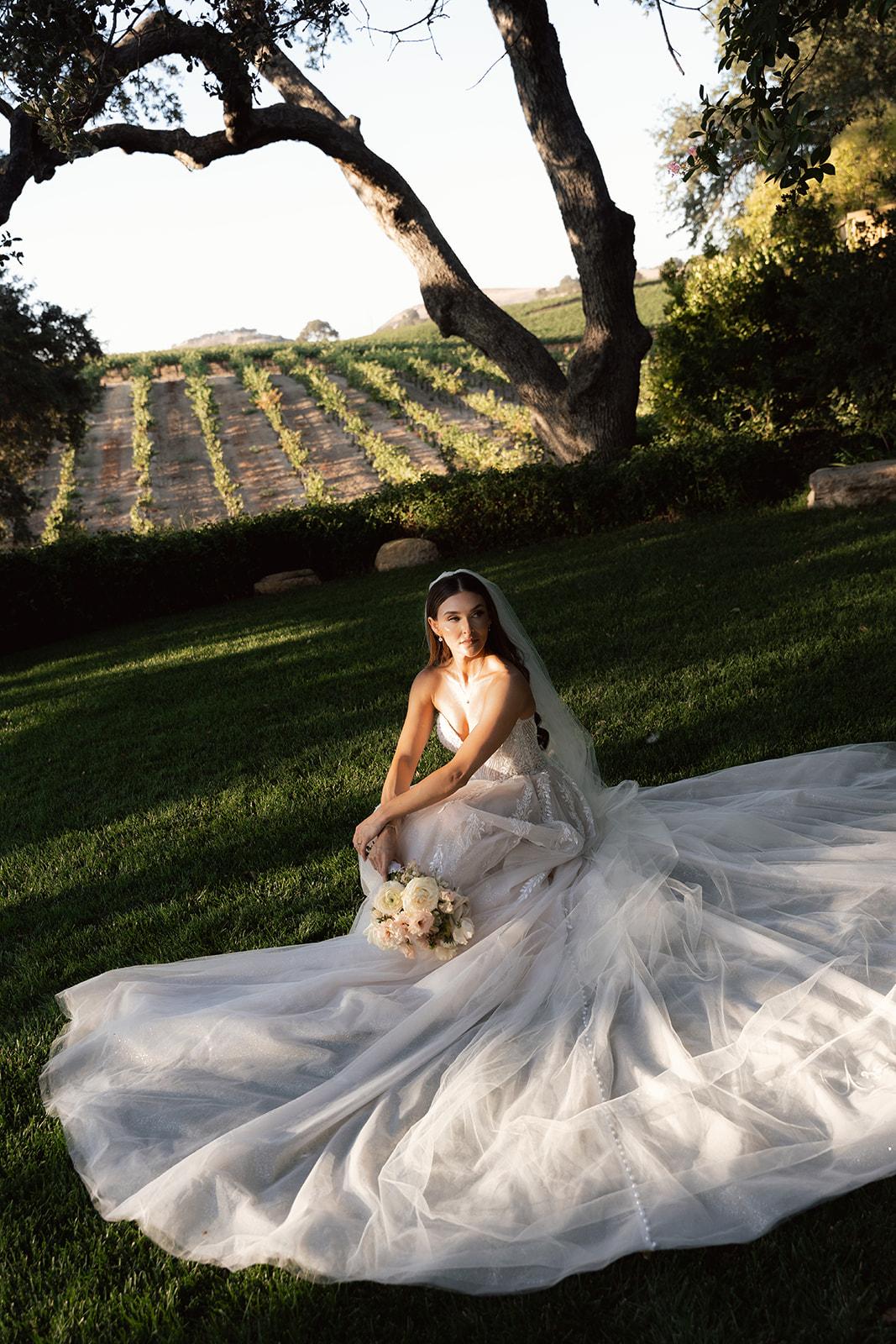 Bride sitting on the grass in a flowing wedding gown with a long train at an intimate wedding venue in California overlooking vineyard views in San Luis Obispo