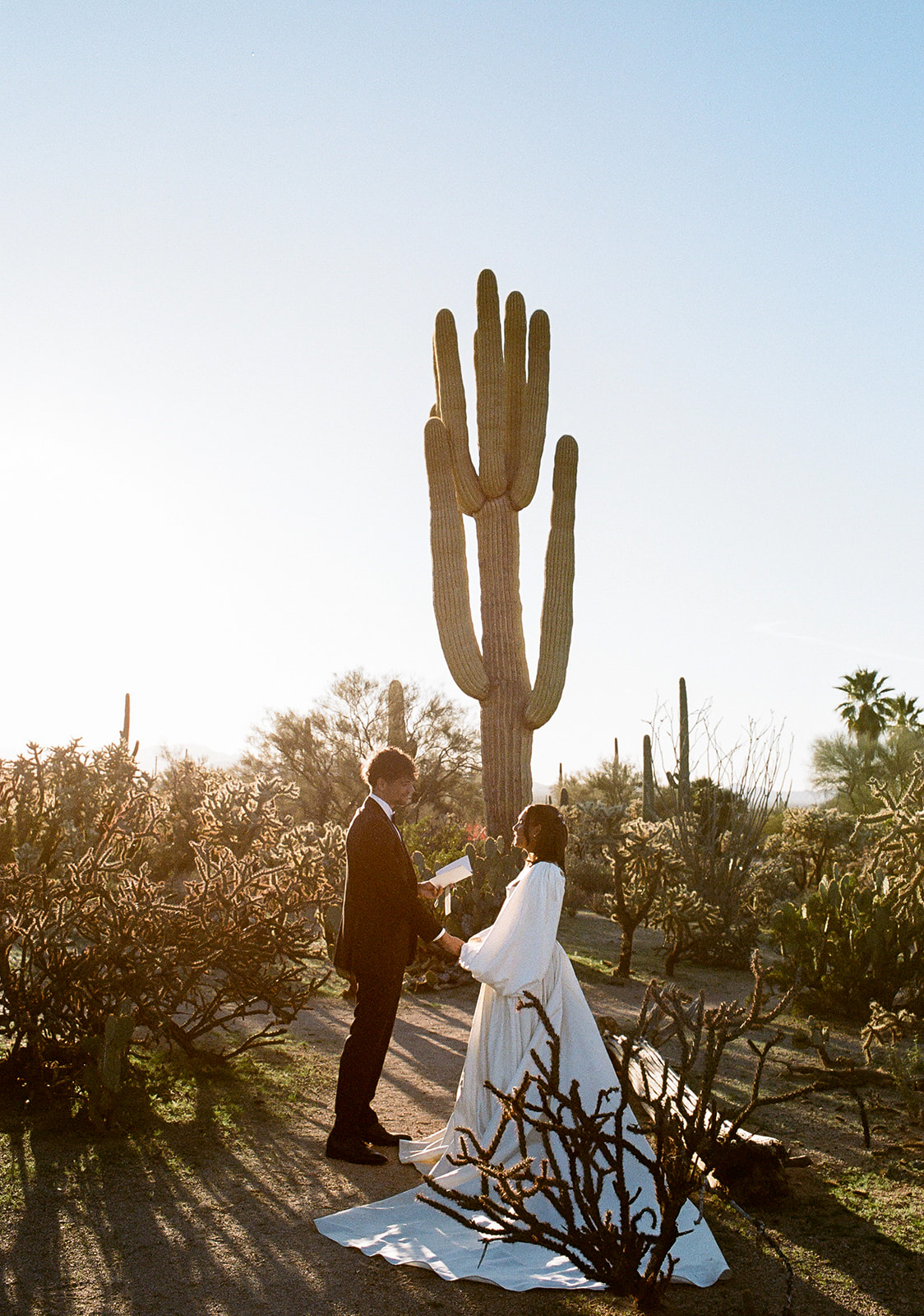 Bride and groom read vows by cactus at Joshua Tree House Tucson wedding
