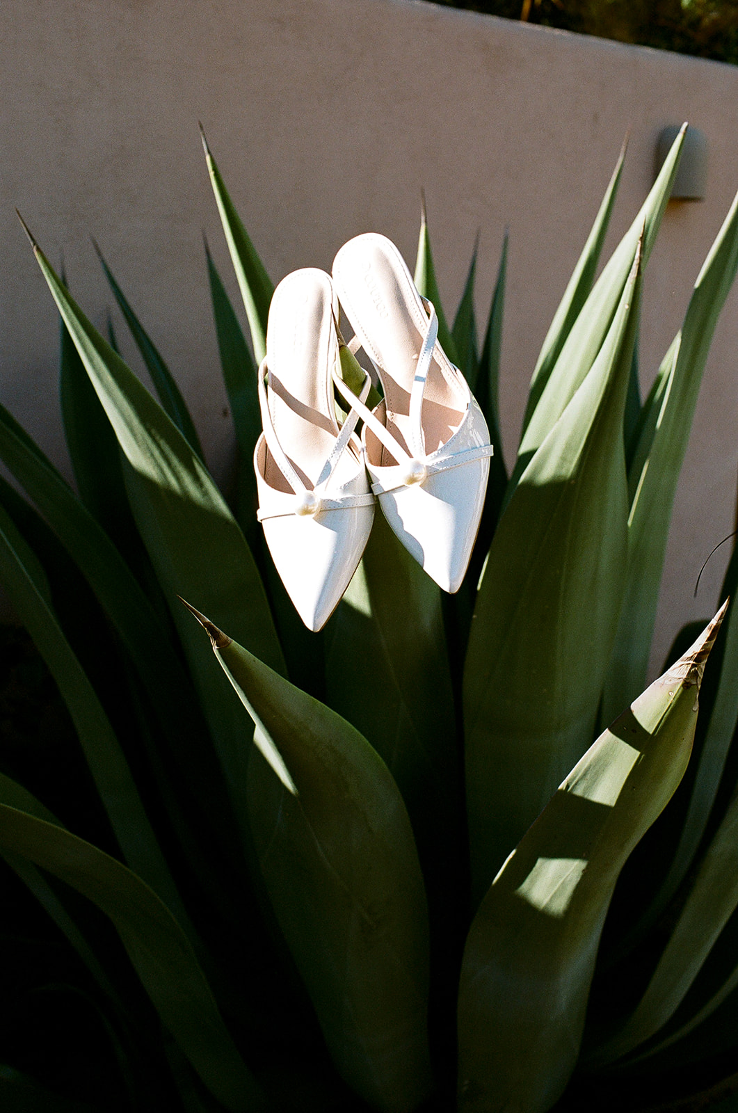 White bridal shoes displayed among green desert plants