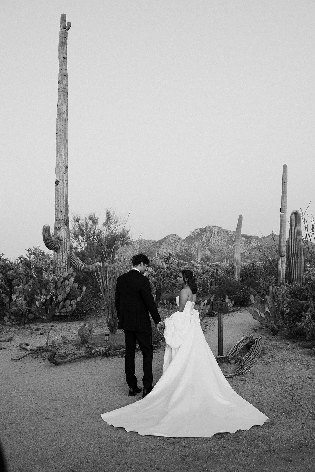 Couple walks through desert during Joshua Tree House Tucson wedding