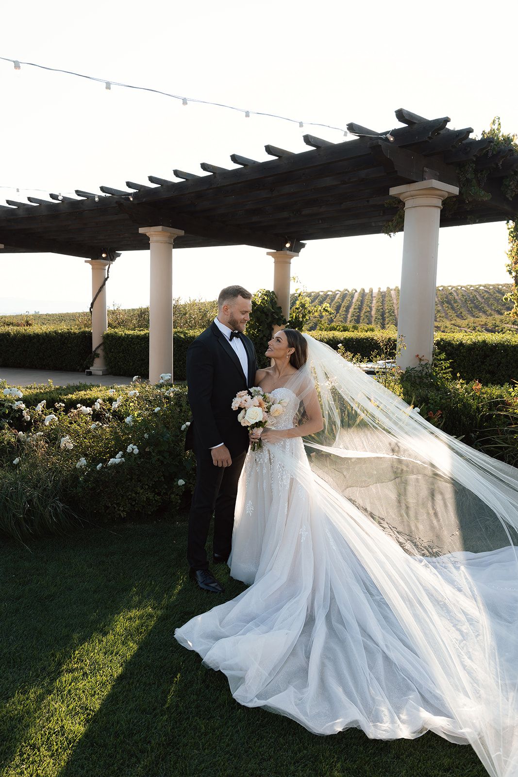 Bride and groom sharing a tender look beneath a vine-covered pergola with vineyard views and a cathedral veil billowing in the breeze at Villa San Juliette
