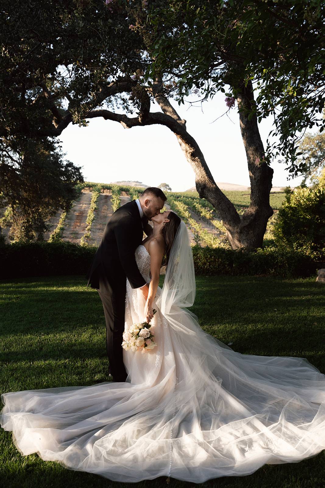 Bride and groom sharing a kiss beneath a sweeping oak tree with vineyard rows glowing in the evening light at a wedding venue in SLO county