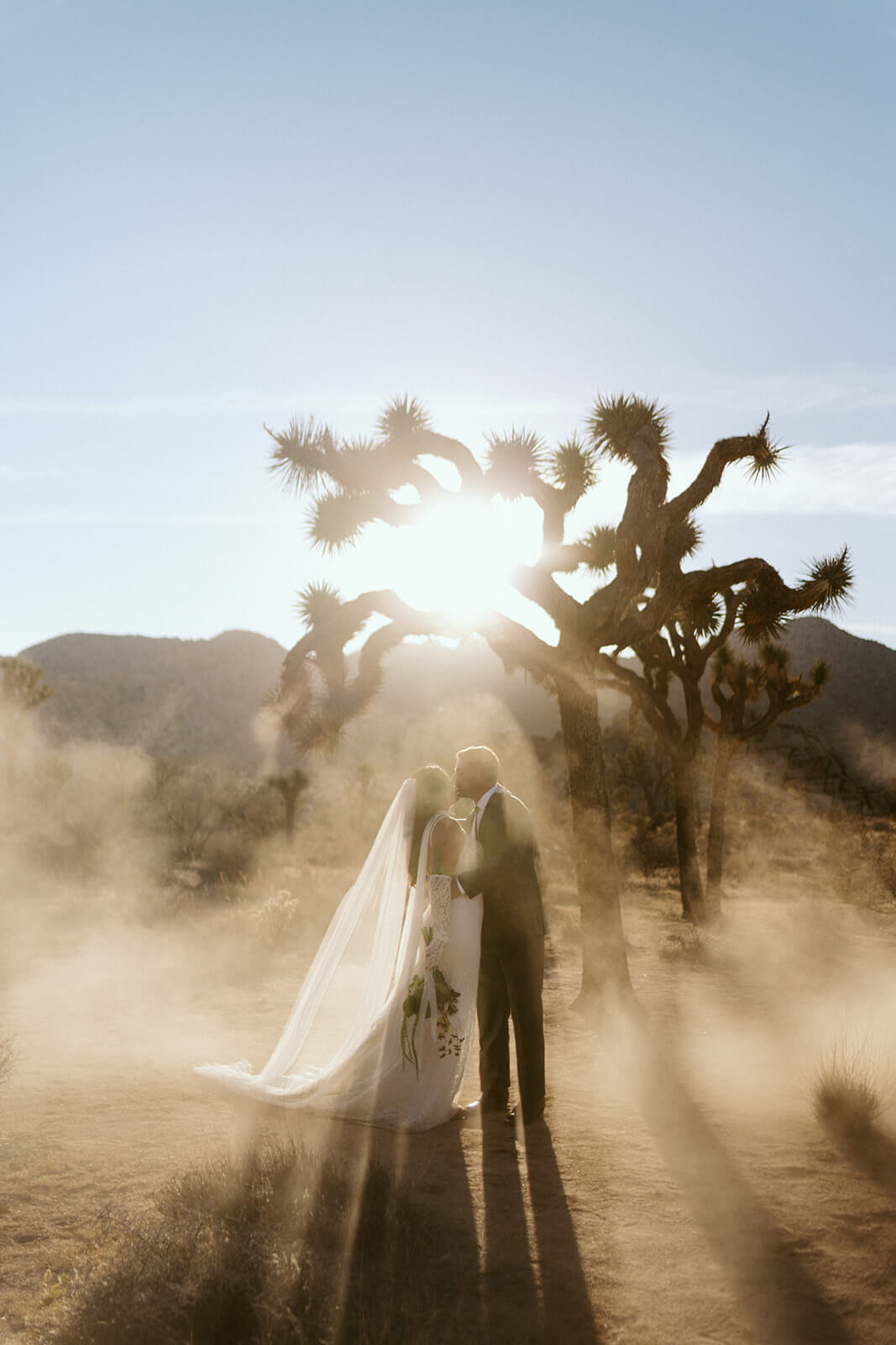 Couple embracing beneath Joshua trees during a dreamy desert elopement with cinematic sunset lighting