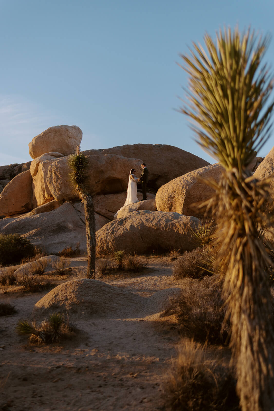 Wide landscape view of a couple during a Joshua Tree elopement surrounded by desert boulders and golden hour light
