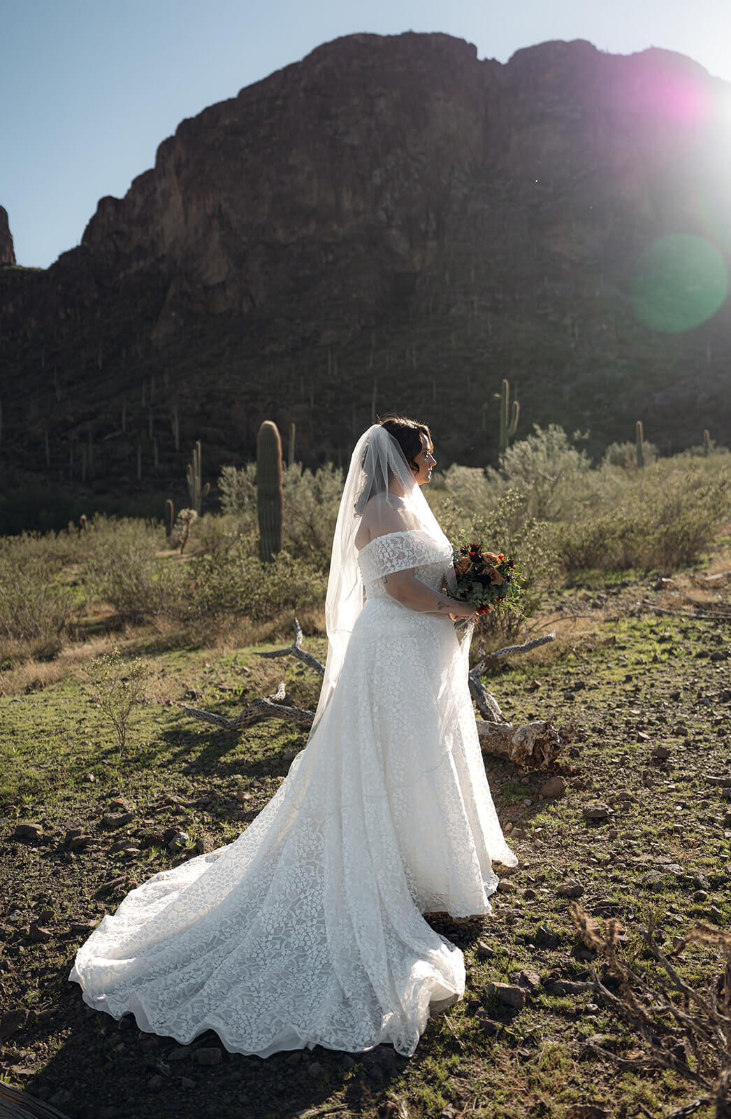 Bride standing in the Arizona desert with a cathedral veil and dramatic mountain backdrop