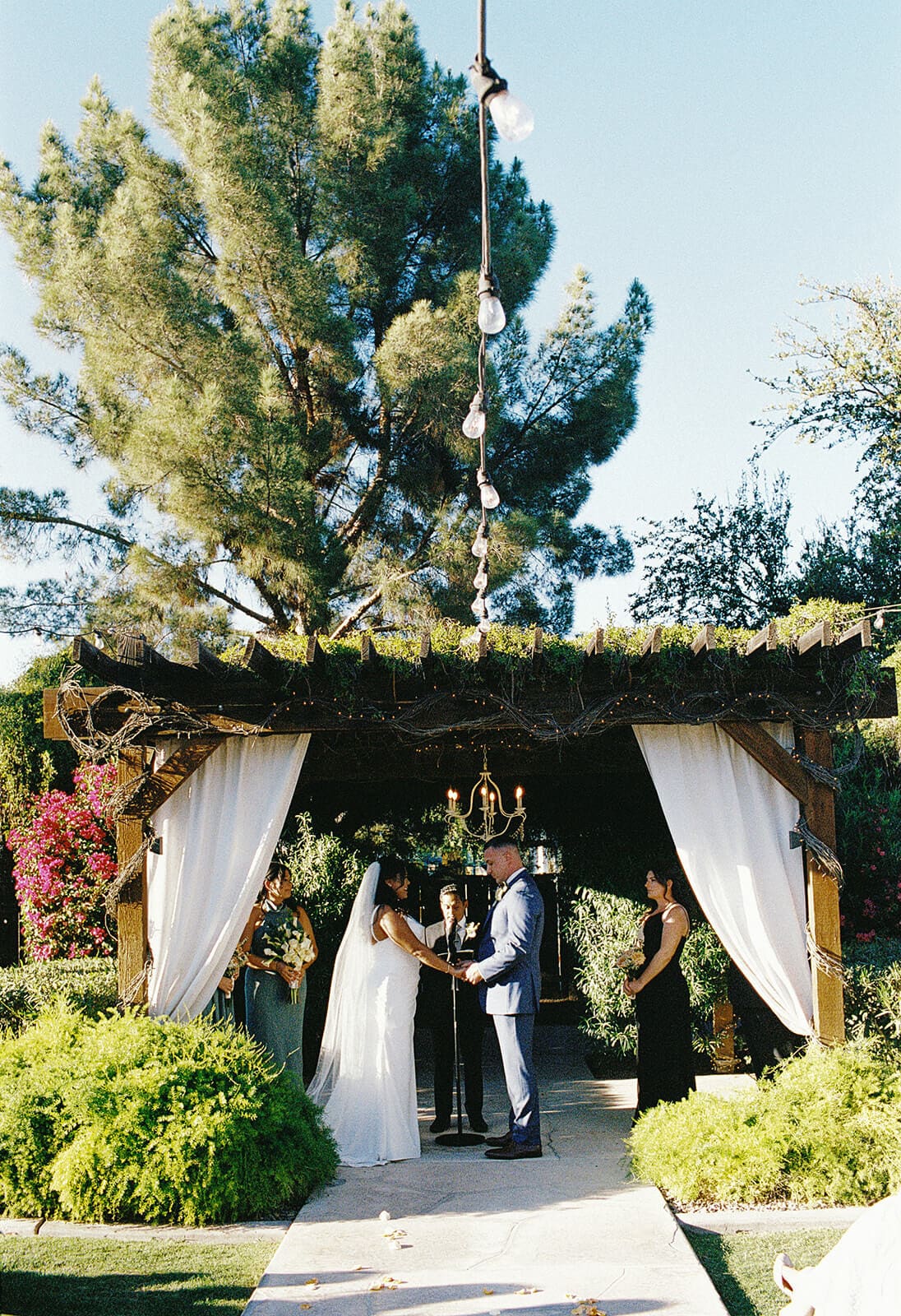 Bride and groom exchanging vows under a draped pergola surrounded by lush greenery at Shenandoah Mill, a historic garden wedding venue in Gilbert Arizona