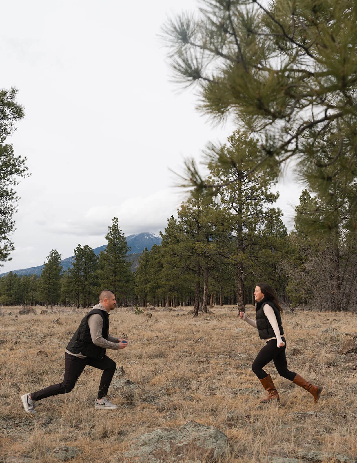 A wide shot of a man dropping to one knee to propose in a dry grass meadow surrounded by pine trees, the woman turning toward him in surprise.
