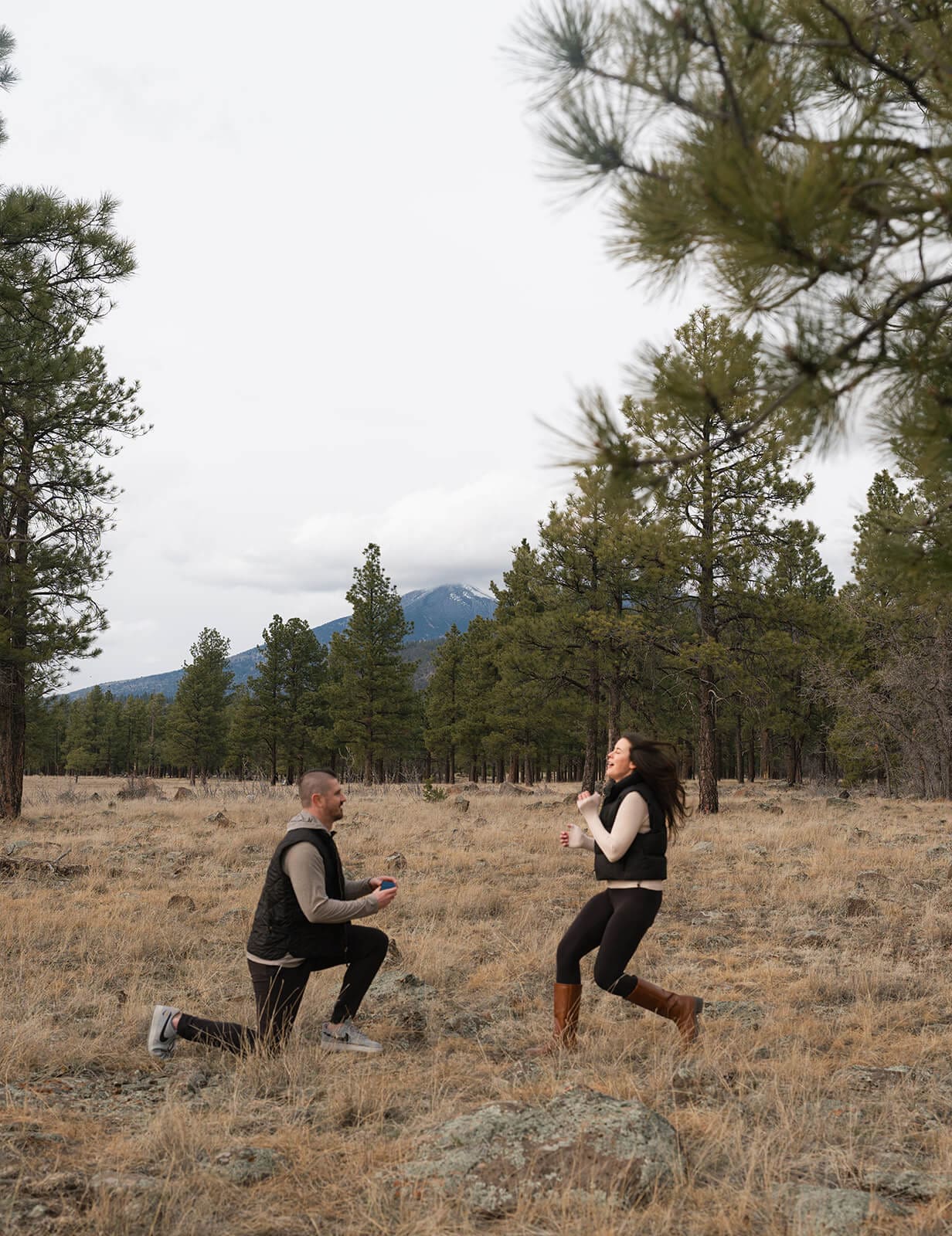 A wide shot of the man on one knee with the ring box open as the woman stands facing him in the pine forest meadow, snow-capped mountains visible in the distance.
