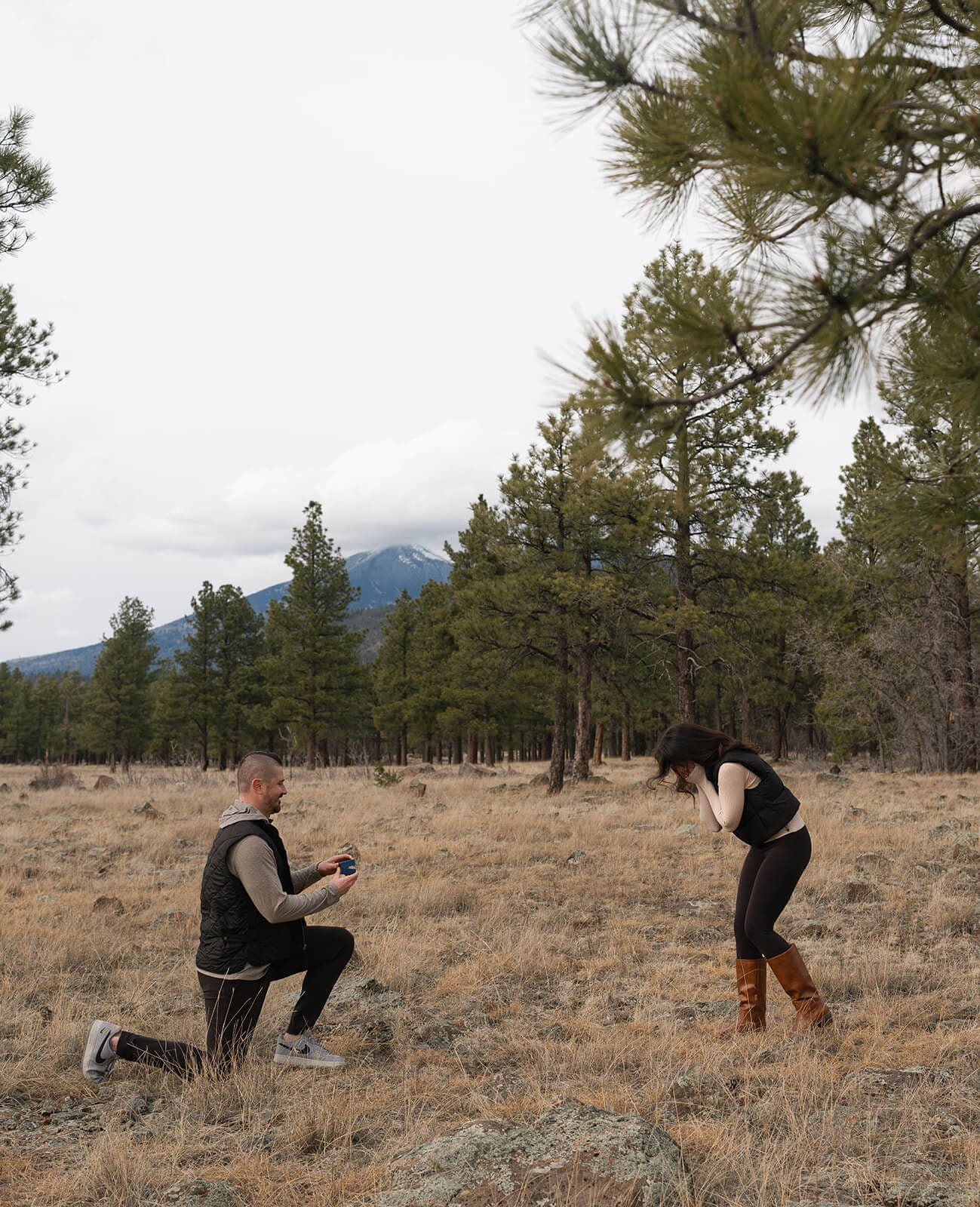 A wide shot of the proposal continuing, the woman's hands raised to her face in shock as the man remains on one knee in the open meadow.
