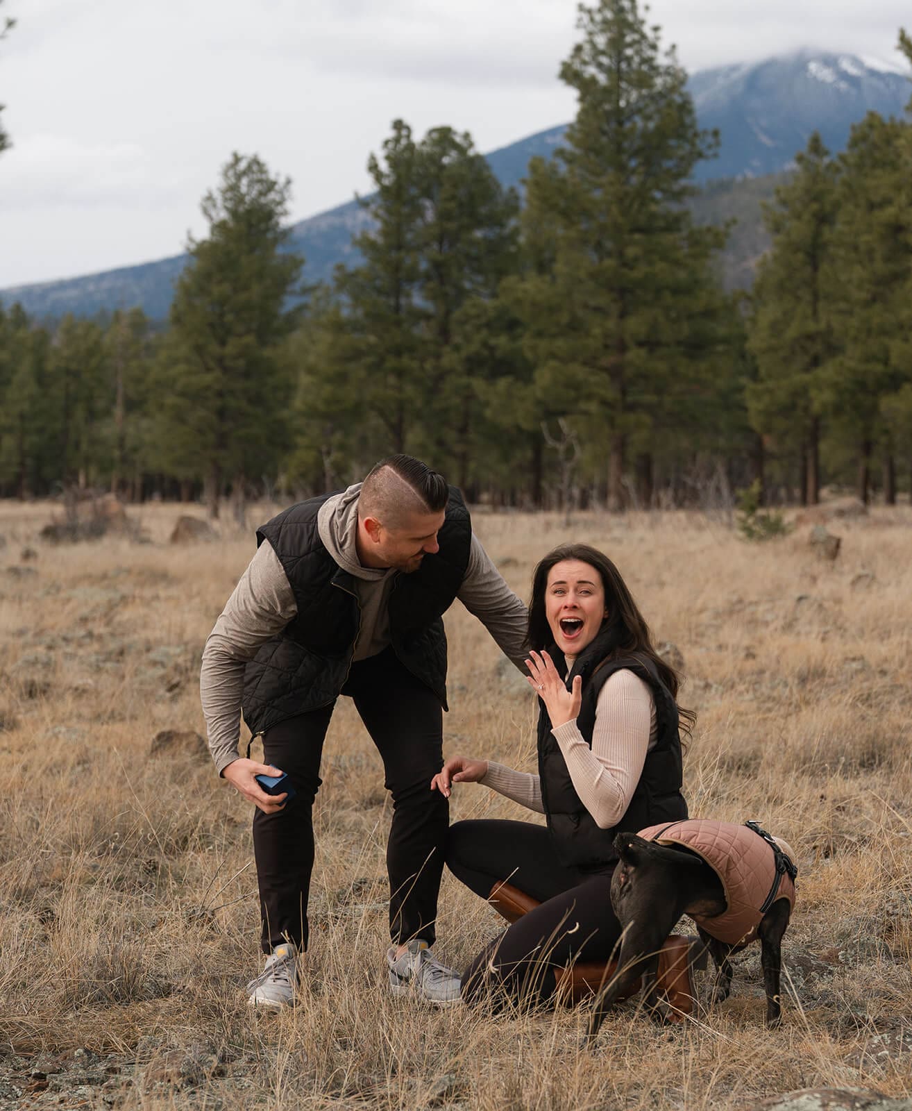 The man, still on one knee, reaches toward the woman as she kneels down in overwhelmed surprise, both laughing and reacting in the golden grass meadow.
