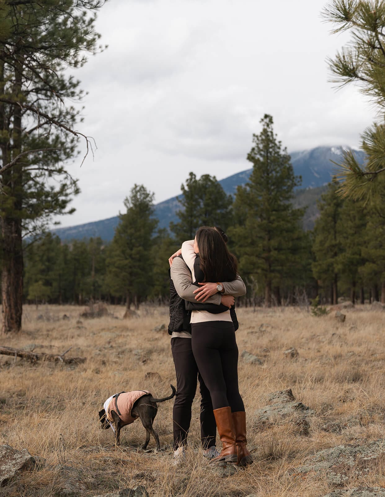 A newly engaged couple embraces while standing in a pine forest meadow, their dog at their feet, with mountains and overcast sky stretching behind them.
