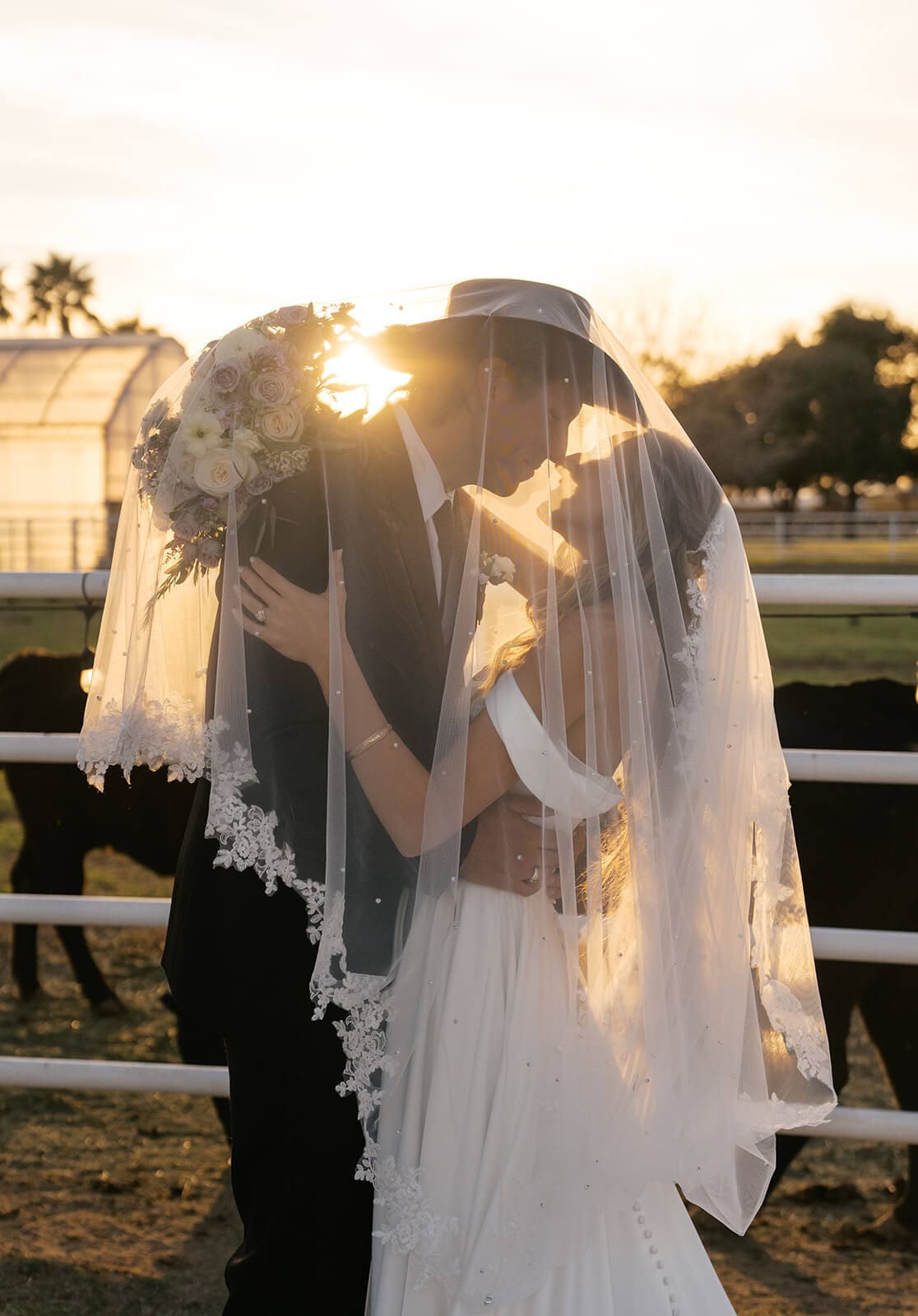 Bride and groom sharing a kiss under her veil at golden sunset at Saguaro Lake Guest Ranch wedding venue in Mesa Arizona

