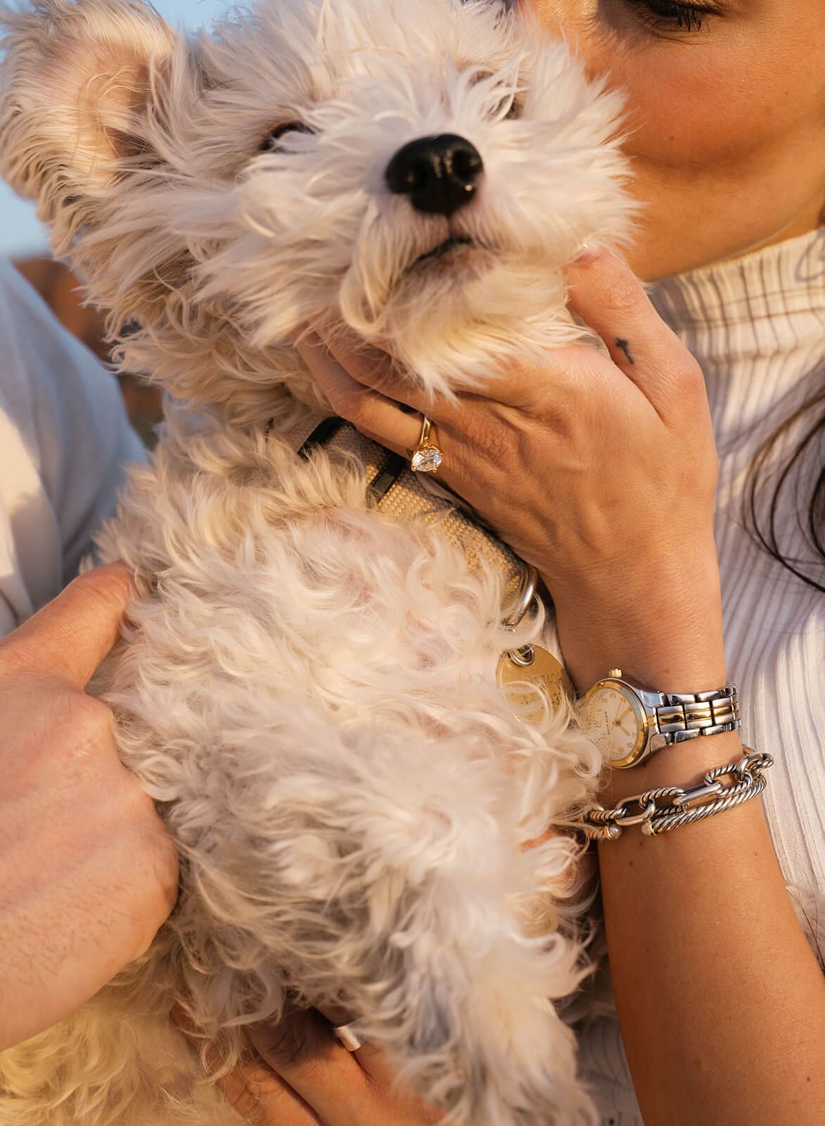 Close-up of a woman cradling a small fluffy white dog, her engagement ring and gold bracelets visible on her wrist.
