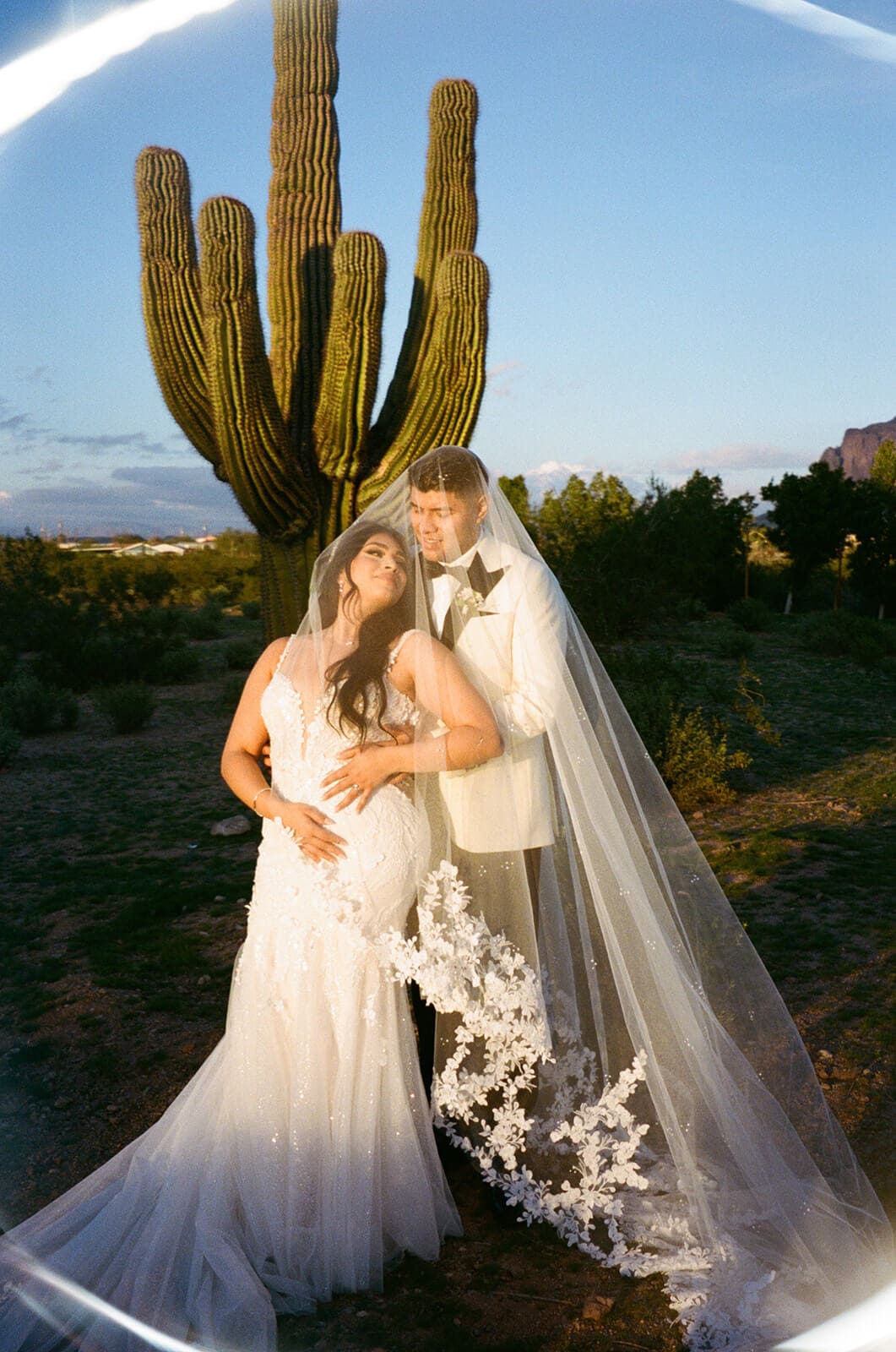 Bride and groom kissing beneath a saguaro cactus during golden-hour wedding portraits.