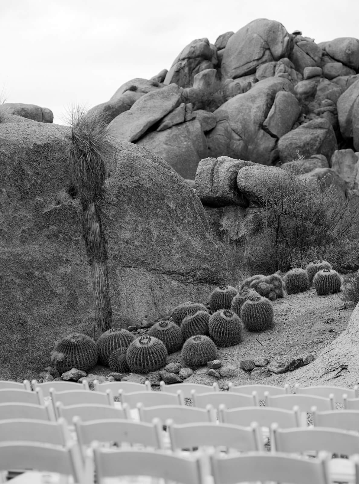 Black-and-white view of white ceremony chairs arranged beneath massive desert boulders and barrel cacti.