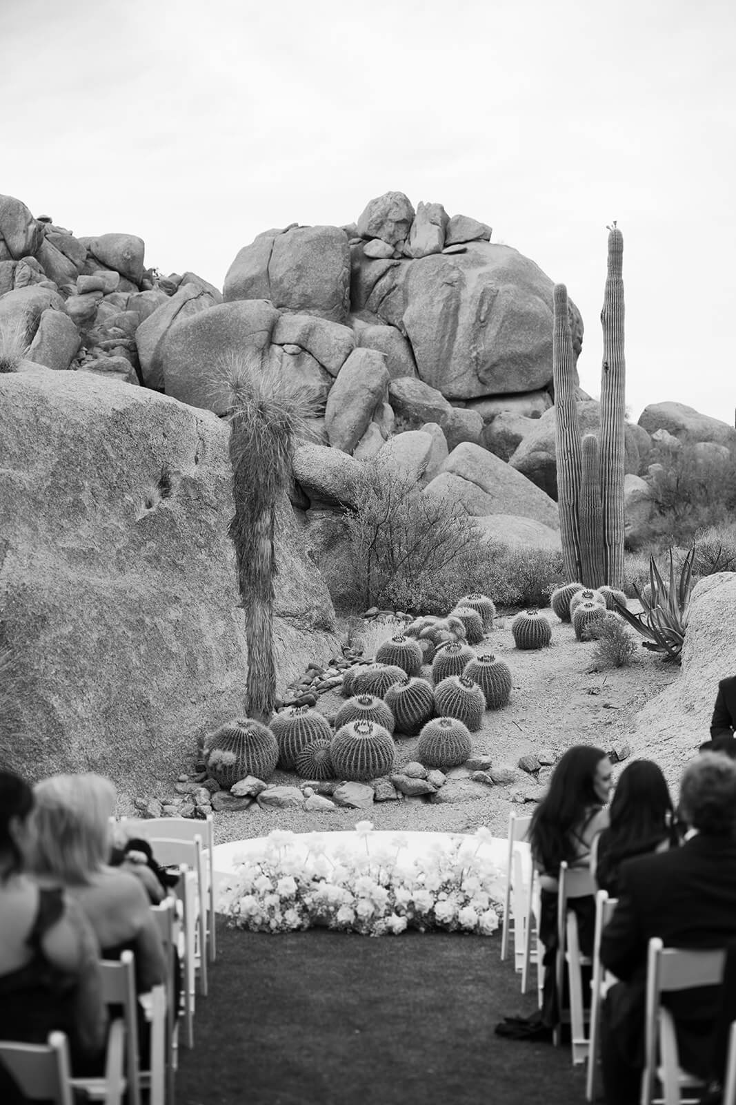 Black-and-white photo of wedding guests seated for an outdoor ceremony with boulders and a tall saguaro cactus behind them.