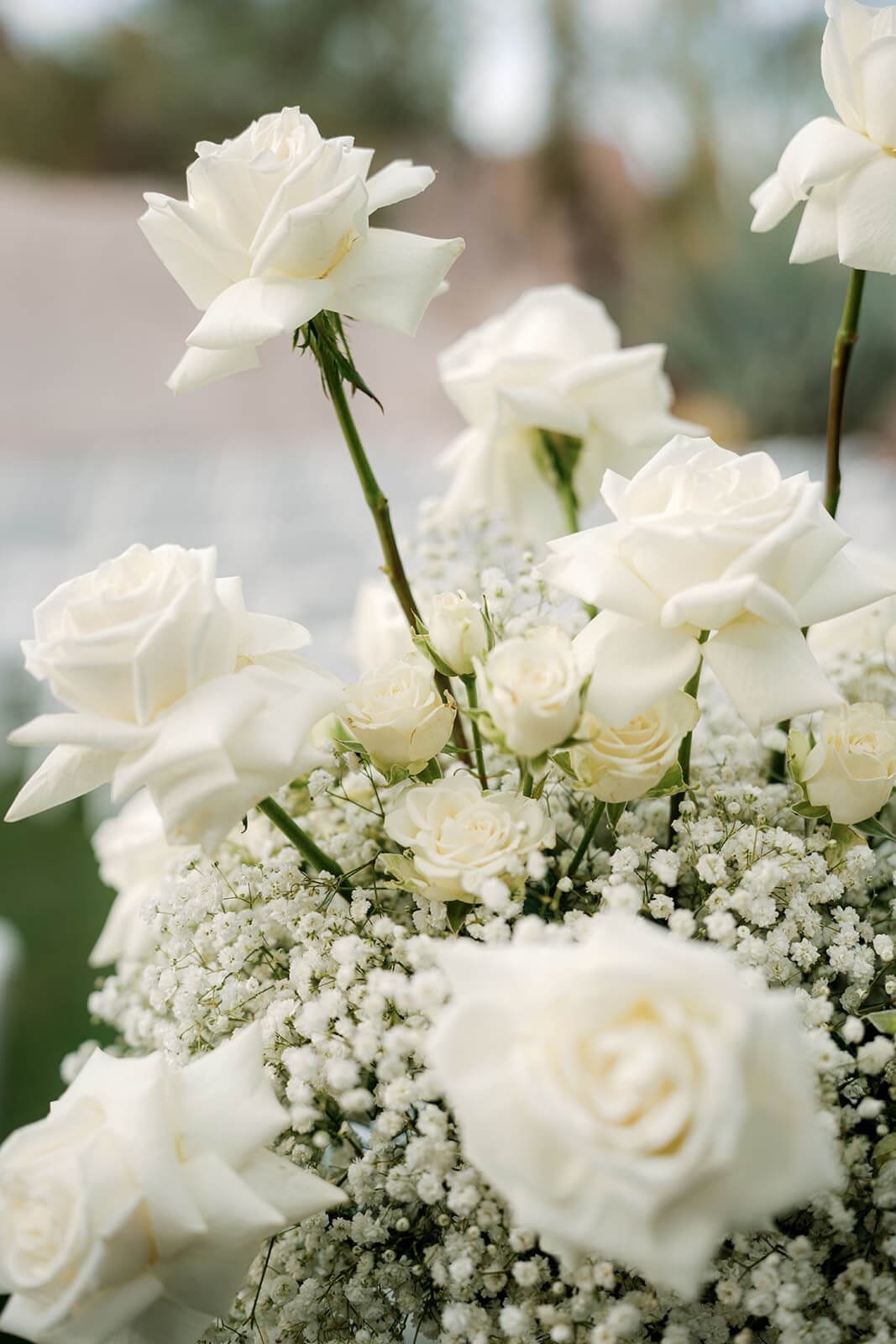 Close-up of white roses and baby’s breath arranged for a Boulders Resort wedding ceremony.