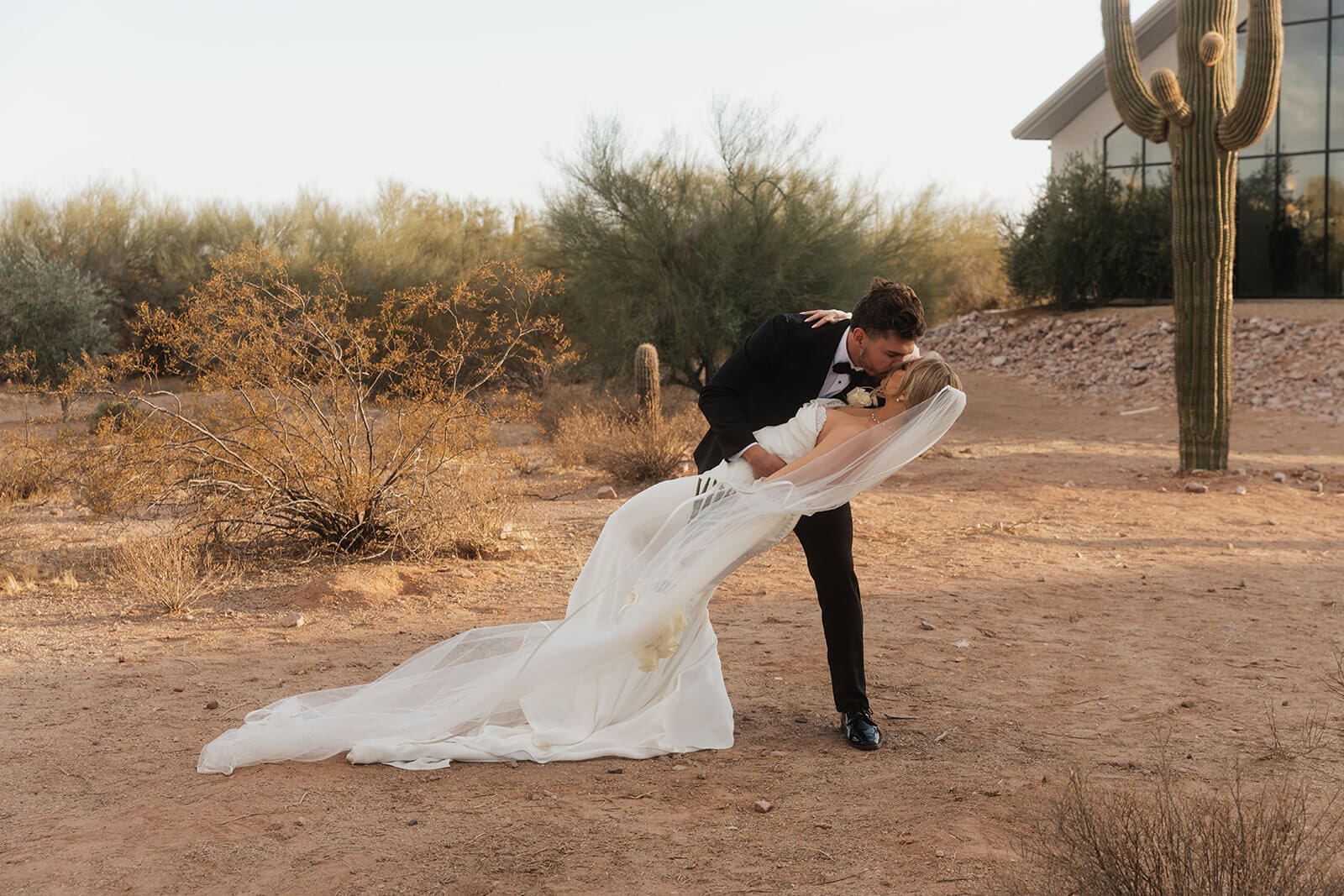 Groom dips and kisses the bride in the Arizona desert beside a tall saguaro cactus during their wedding portraits.